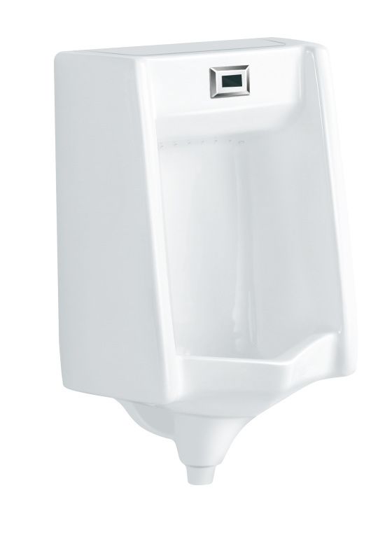 ��ʽ��ӦС����