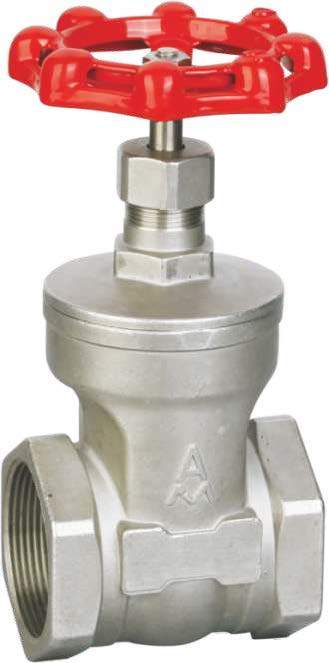 �����բ��