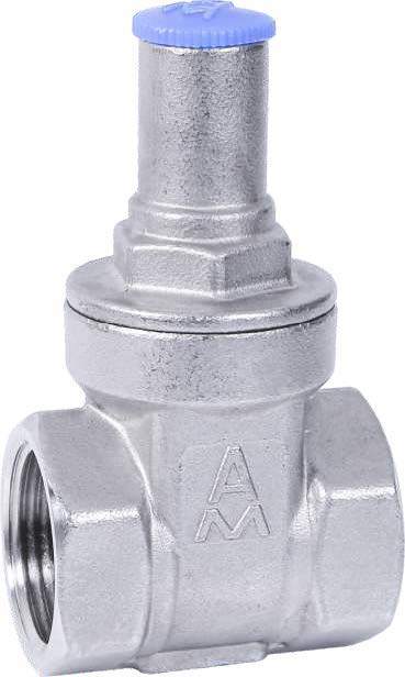 ����ִ���բ��